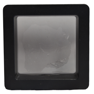 Clear Coin Cases - Black Trim