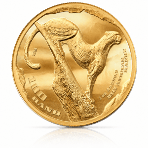 Ultra High Relief - 1oz Fine Gold Surveying Cheetah