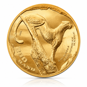Ultra High Relief - 2oz Fine Gold Surveying Cheetah