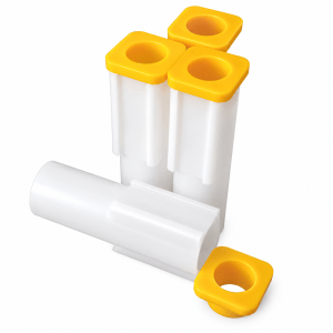 1/10 oz Gold Krugerrand Tube